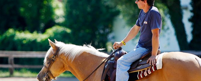 Massimo Bellani reining ritratto con cavallo