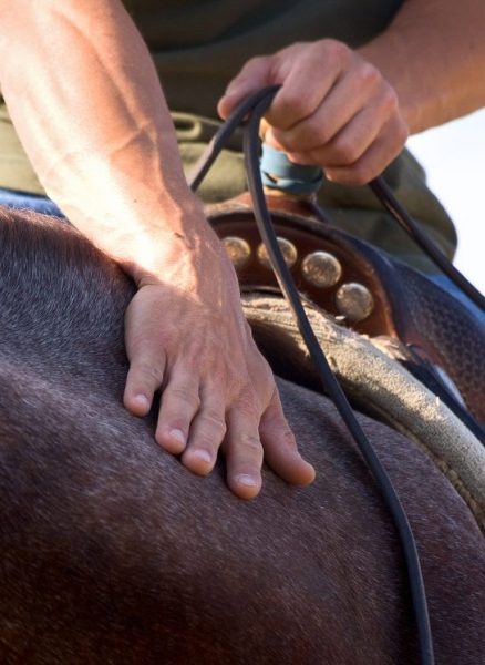 Massimo Bellani reining cavaliere che accarezza il cavallo