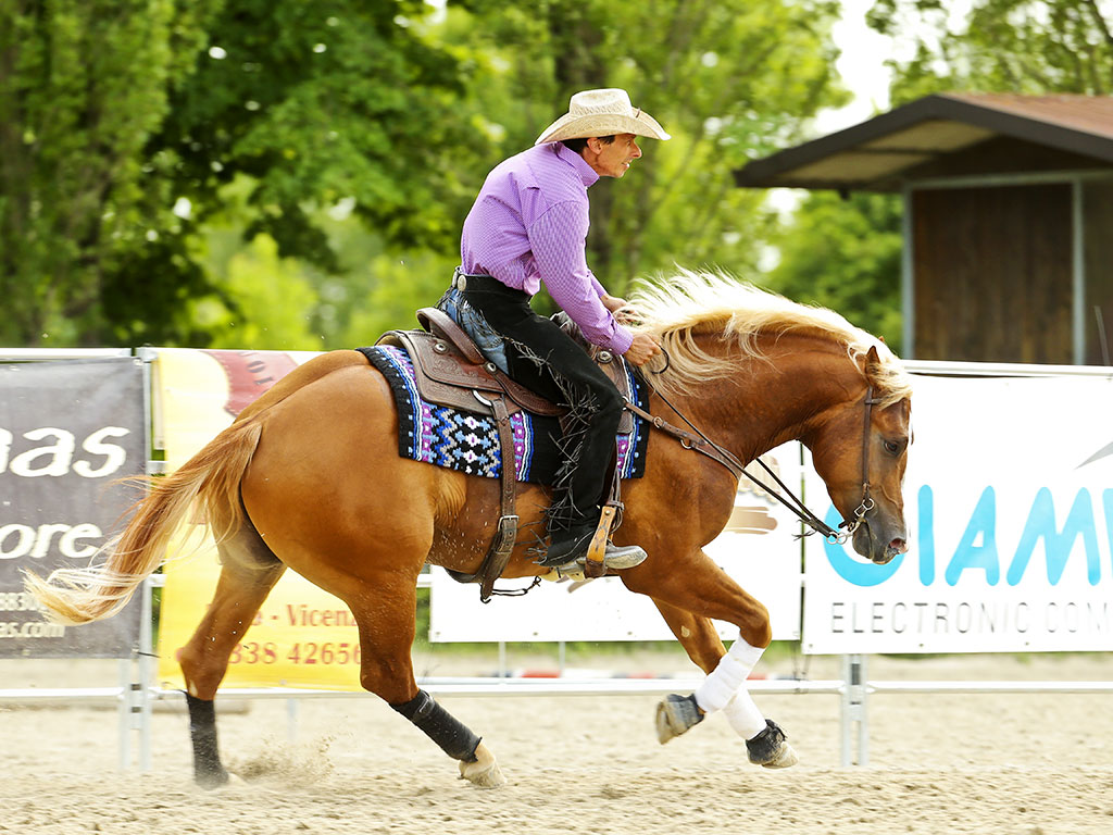 Massimo-Bellani-Reining-agonismo- Massimo-Bellani-Reining-agonismo-