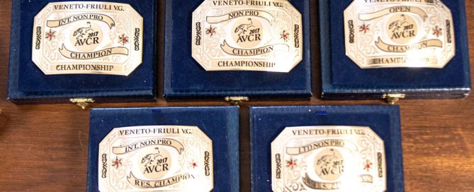Massimo Bellani Reining-I nostri campioni-fibbie