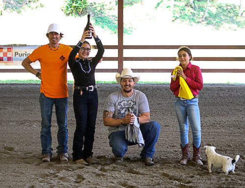 Funny Day Ongaresca Reining