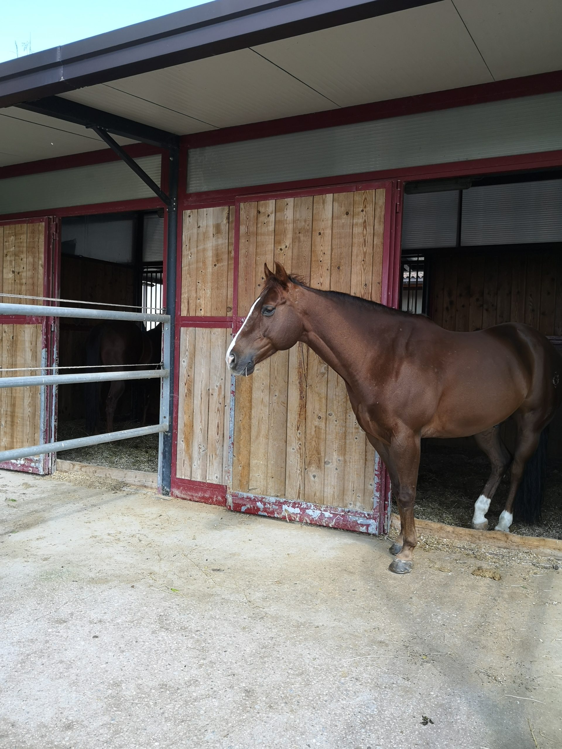 helna ranch scuderia box con paddok helna ranch scuderia box con paddok